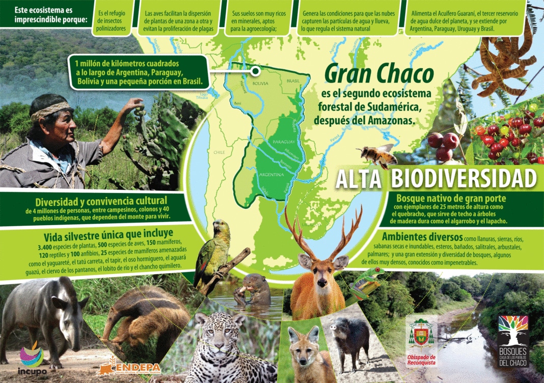 El Gran Chaco en el Sínodo por la Amazonia
