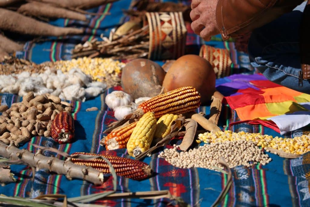 La agricultura familiar como actor clave en la producción local de alimentos saludables