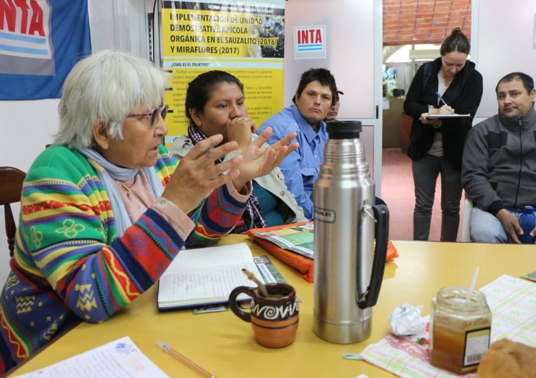 Indígenas y criollas chaqueñas unidas por la Feria Franca