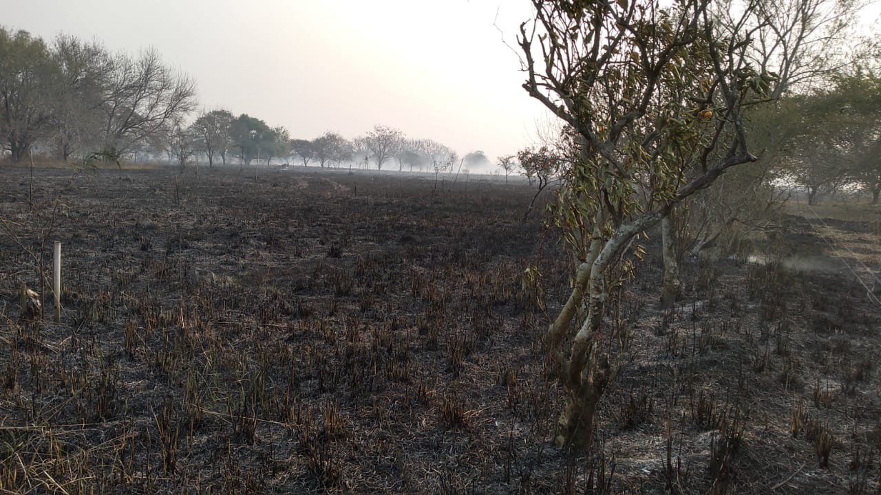 Incendio de gran magnitud consumió 35 hectáreas del predio de la organización INCUPO en Reconquista