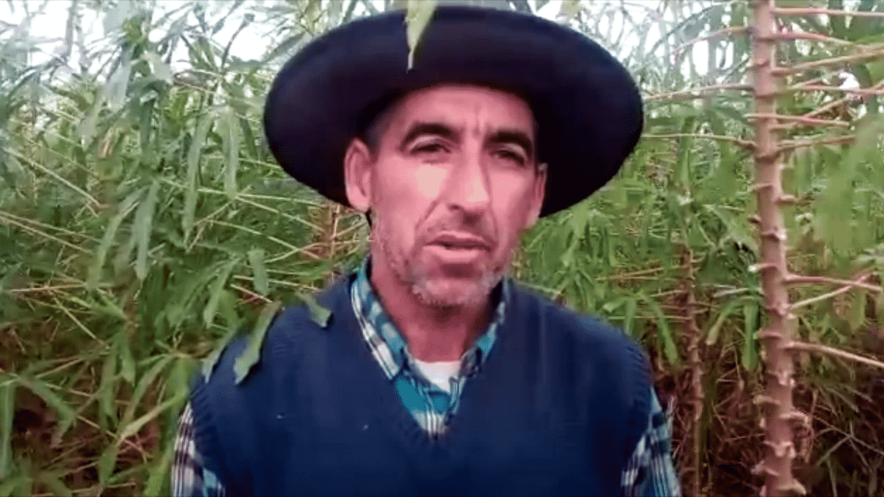 Agroecología para soberanía alimentaria