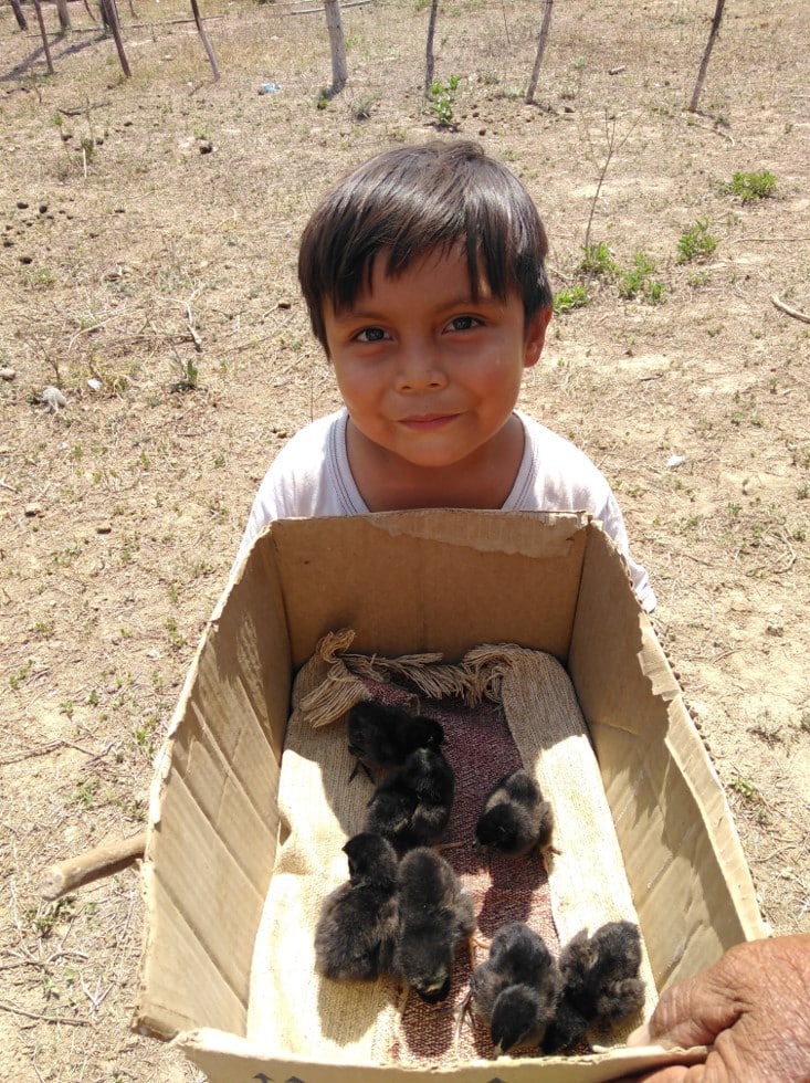Aseguramos alimentos sanos para comunidades indígenas del Chaco