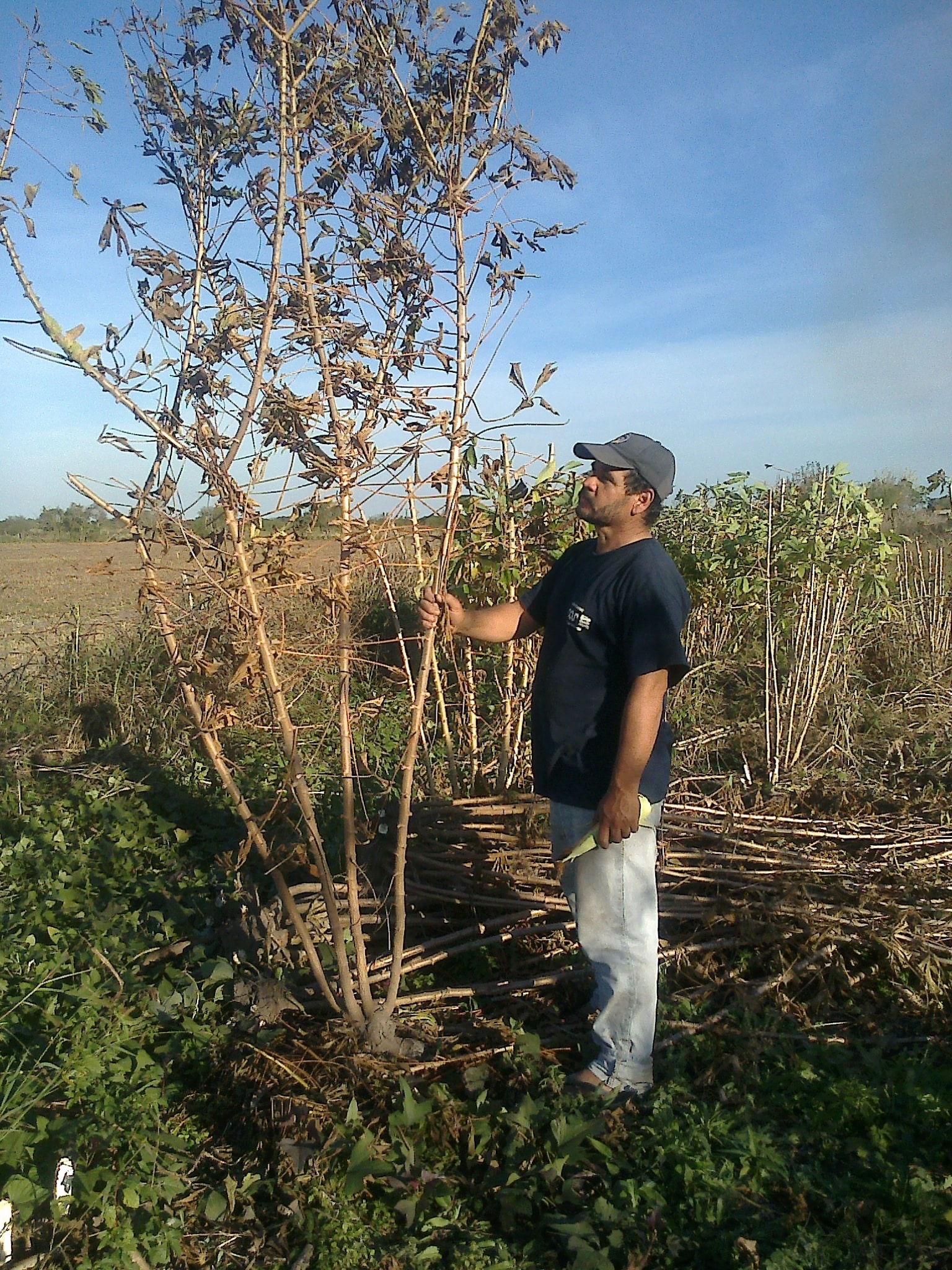 La agricultura familiar imprescindible: Obreros del Surco