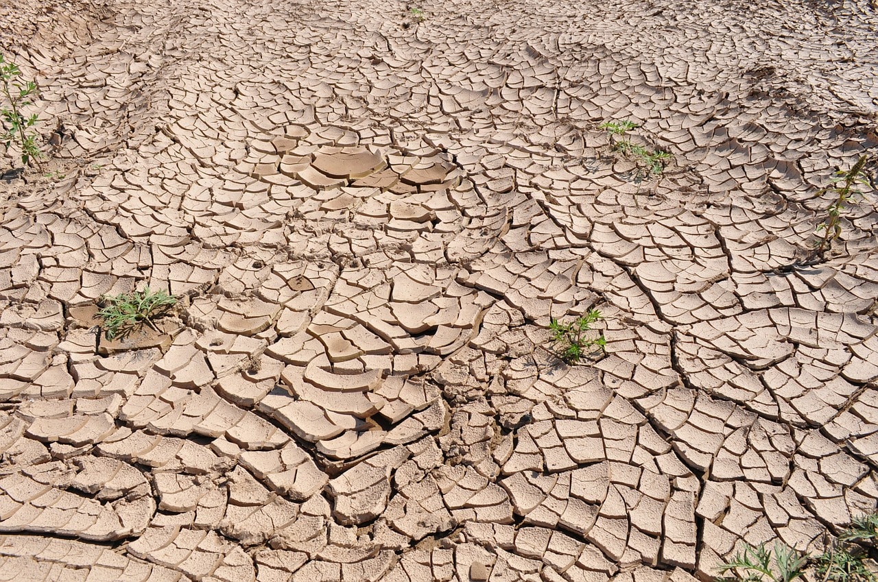 El impacto del cambio climático en Argentina