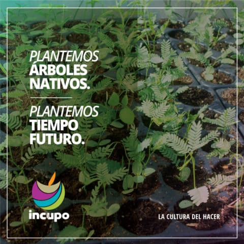 INCUPO 51 años: plantamos tiempo futuro