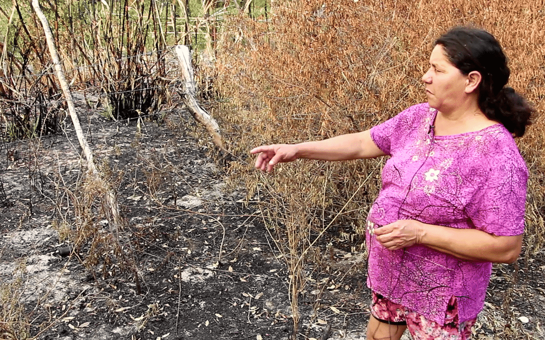 Corrientes:La sequía y los incendios golpean la Agricultura Familiar