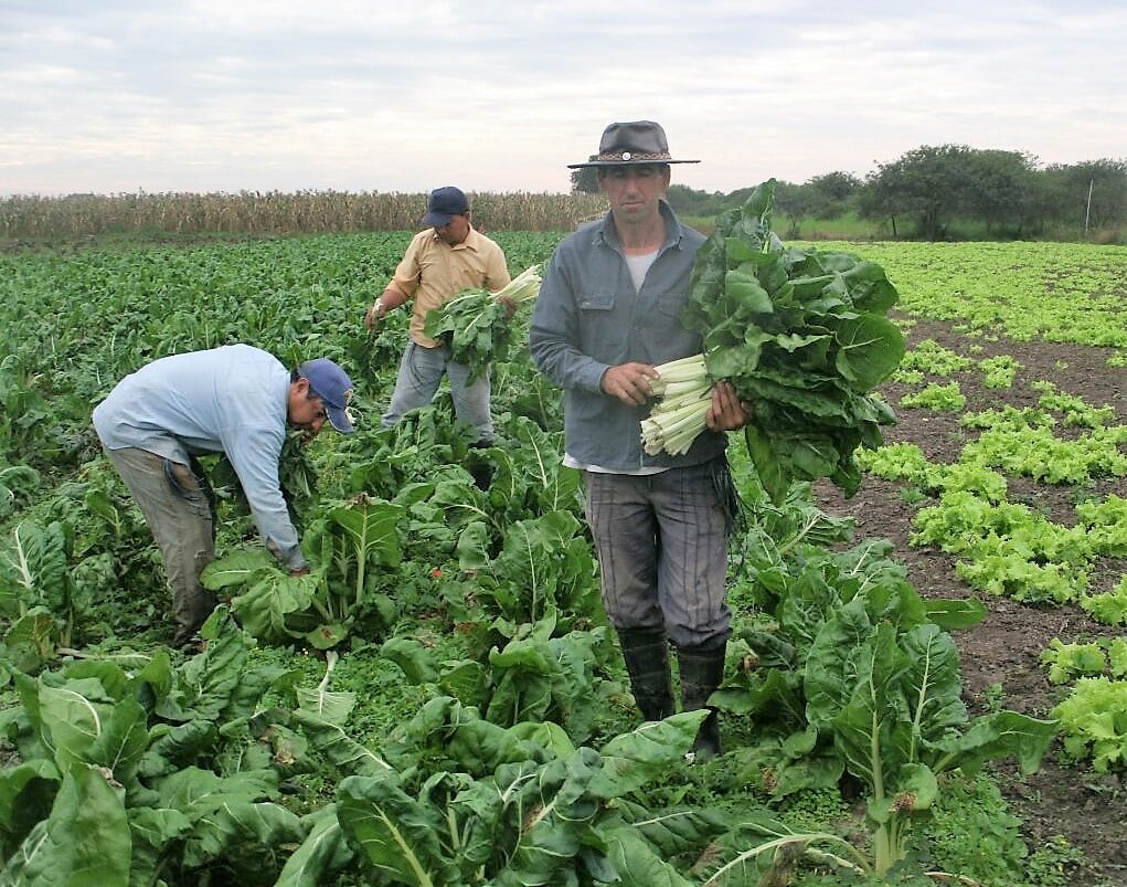 Productores agroecológicos frente el cambio climático