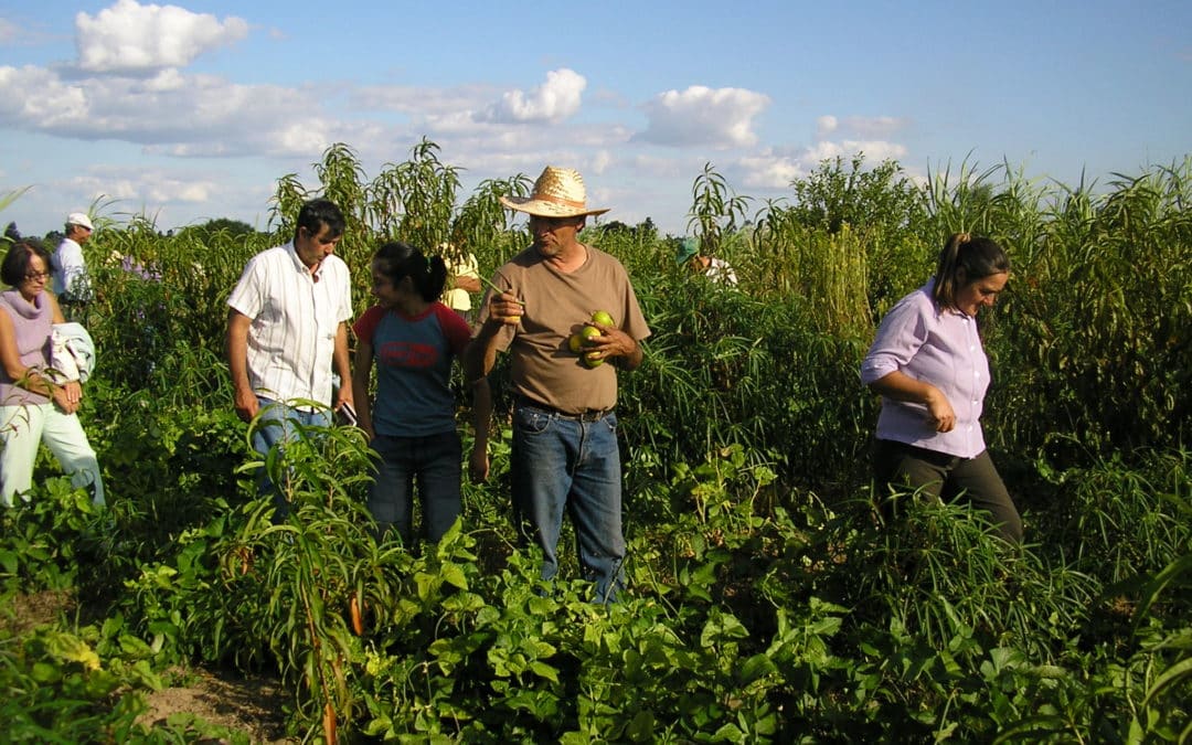 Bella Vista, Corrientes: Instituciones y agricultores evaluaron avances y desafíos de la producción agroecológica en la zona