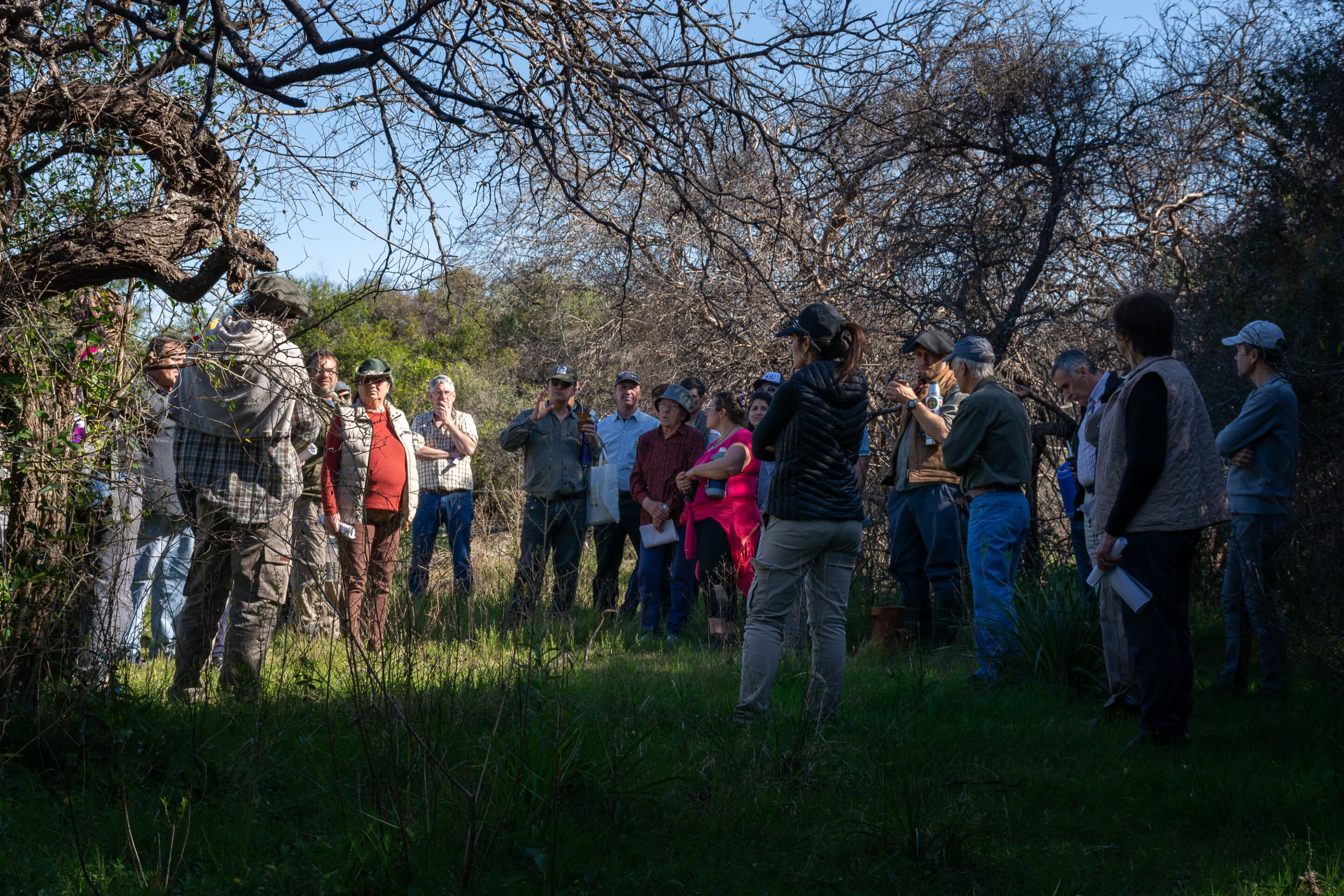 Experiencias de manejo sustentable de Bosques Nativos en Colonia Durán