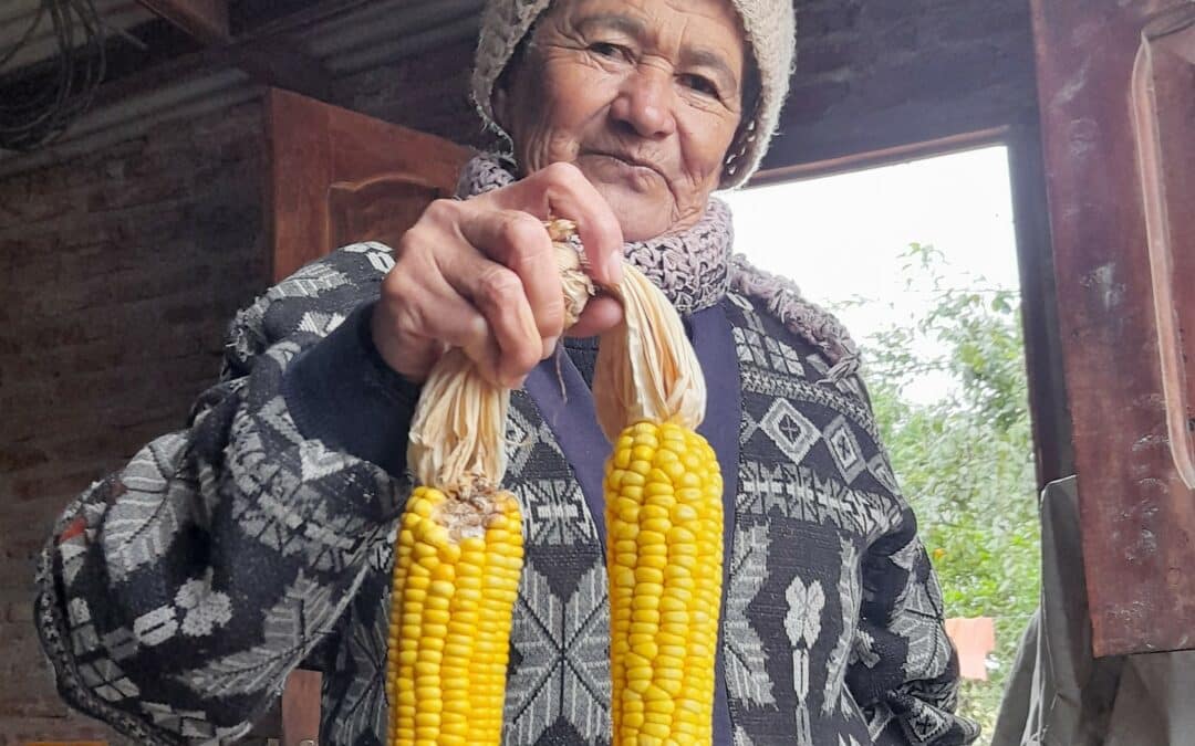 La “gente de maíz” y su Guía de producción