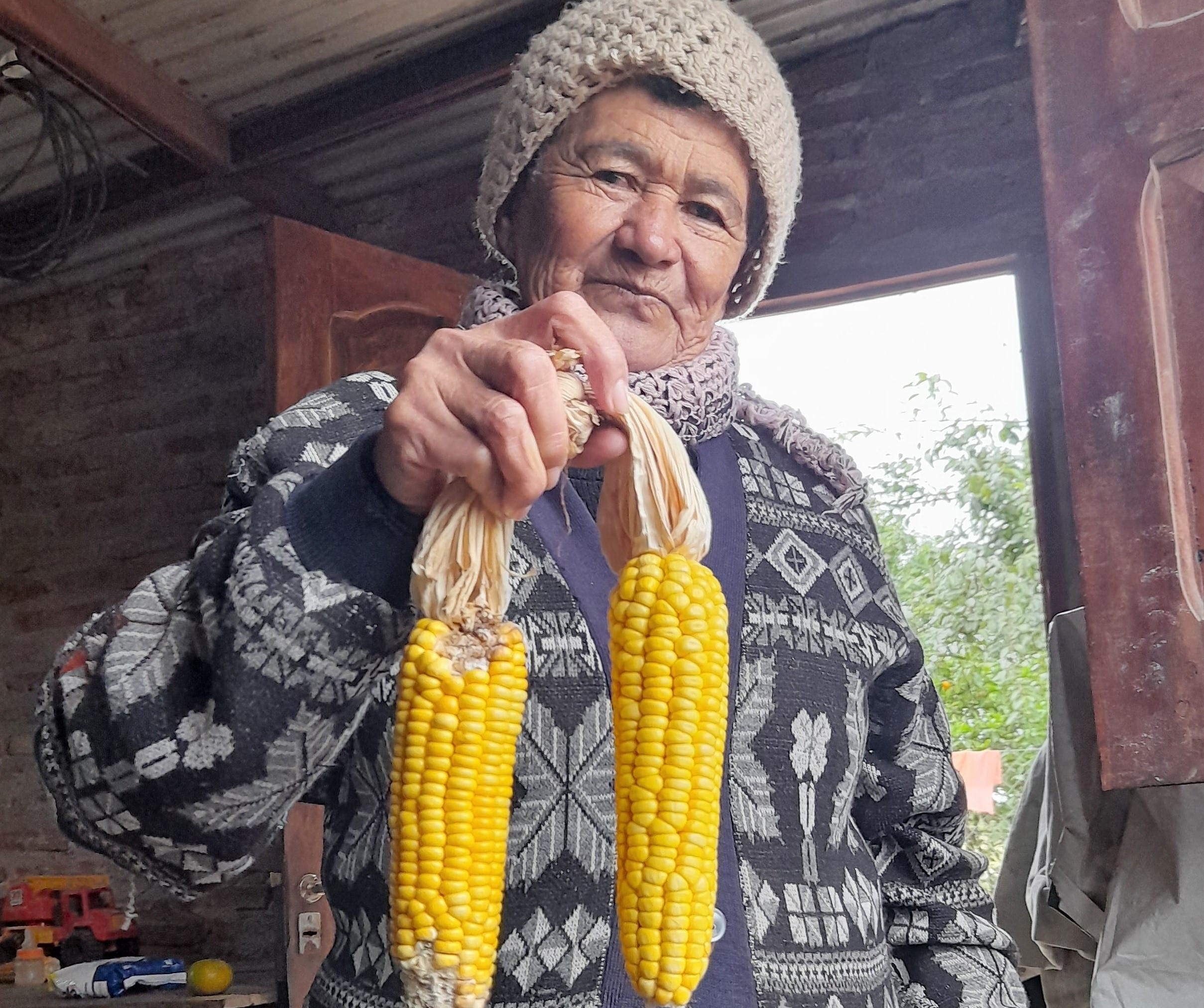 La “gente de maíz” y su Guía de producción