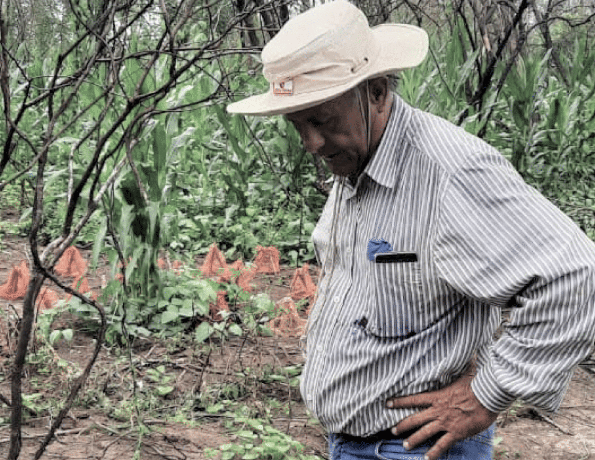 Ayudas por sequía: ¿Sólo promesas?
