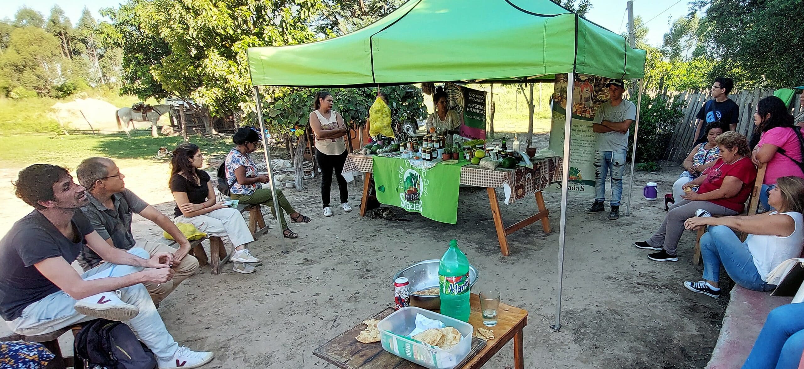 Solidaridad que construye