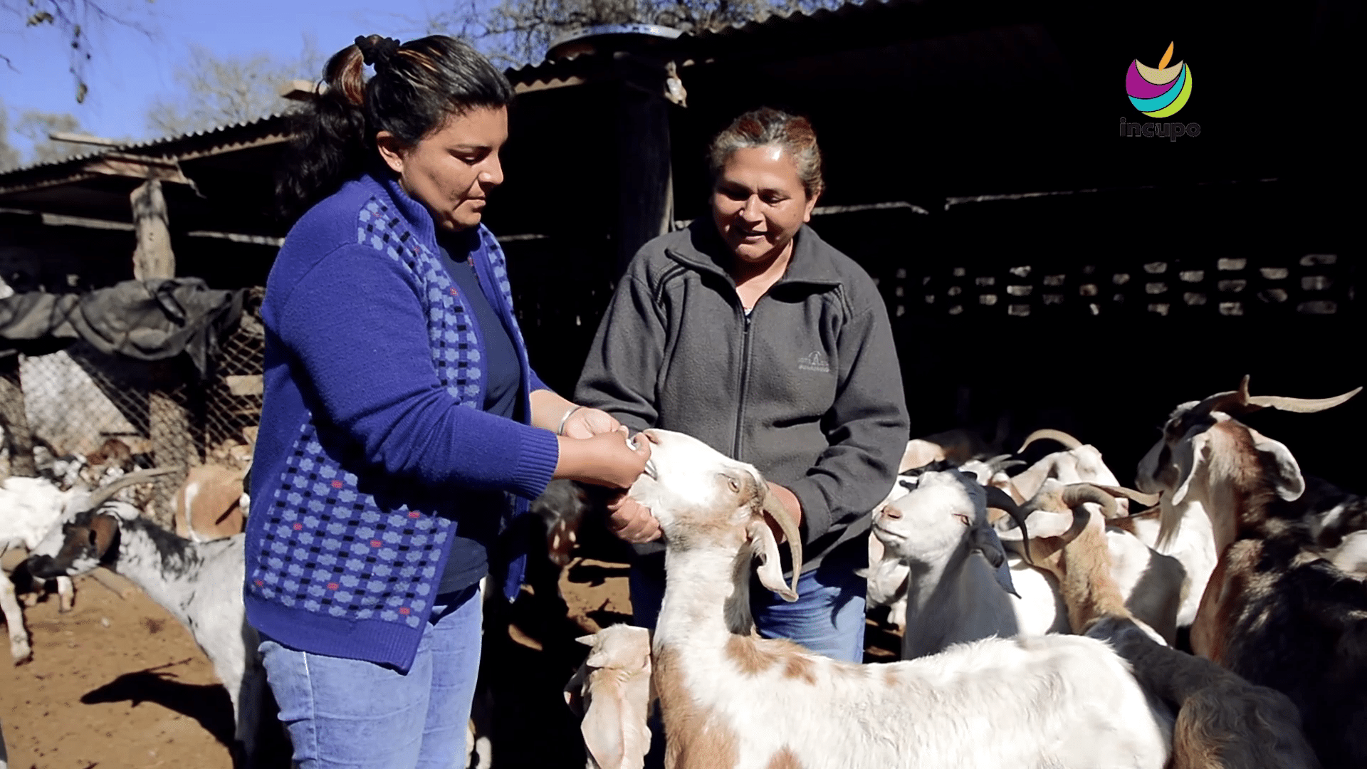 «Manual de cría caprina agroecológica»                         Elaborado por INCUPO Sgo del Estero, con los saberes del monte y su gente