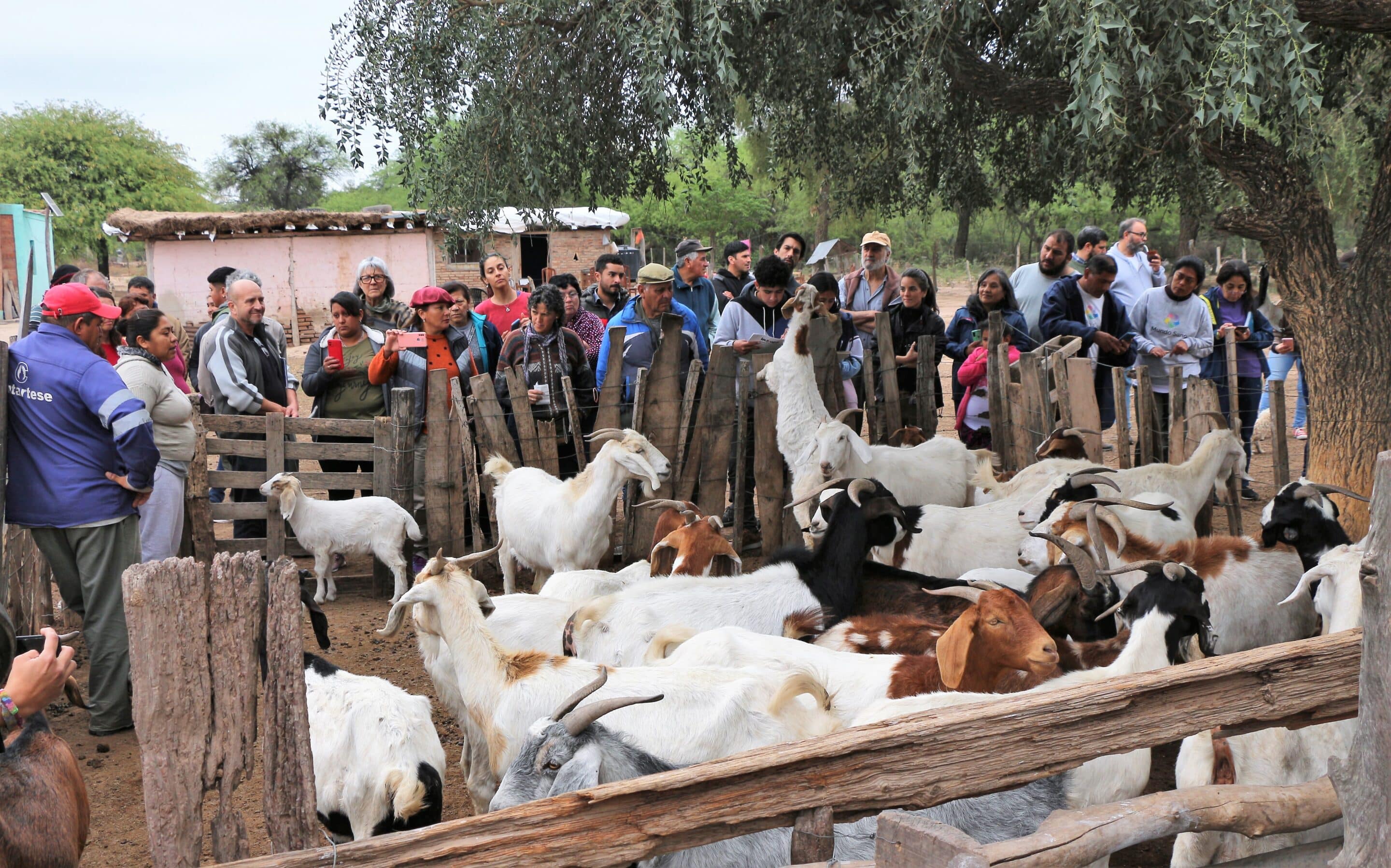 Primeras Jornadas de Ganadería Caprina Agroecológica del NOA