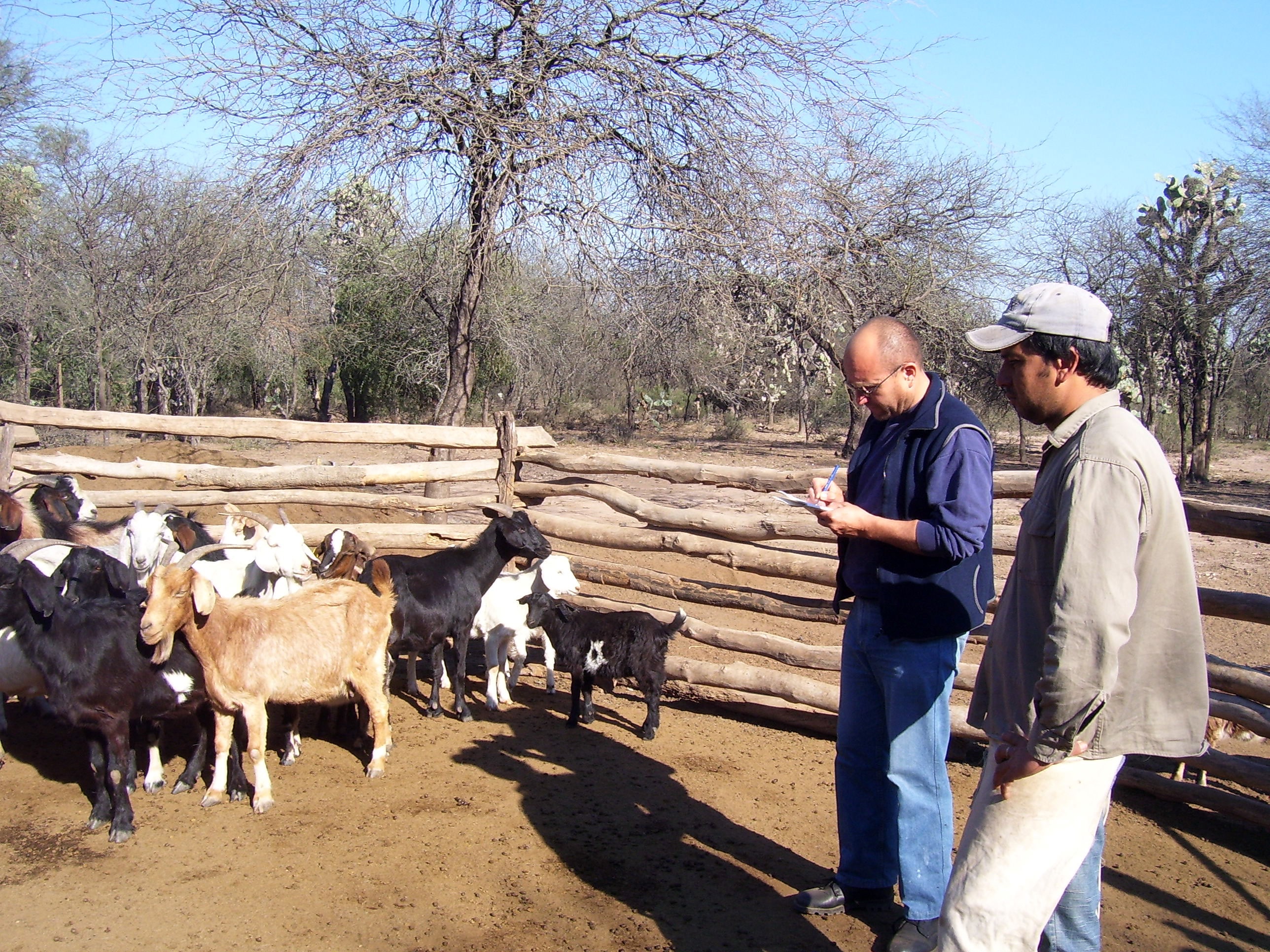 INCUPO invita a las Primeras Jornadas de Ganadería Caprina Agroecológica del NOA, en Añatuya, Sgo del Estero
