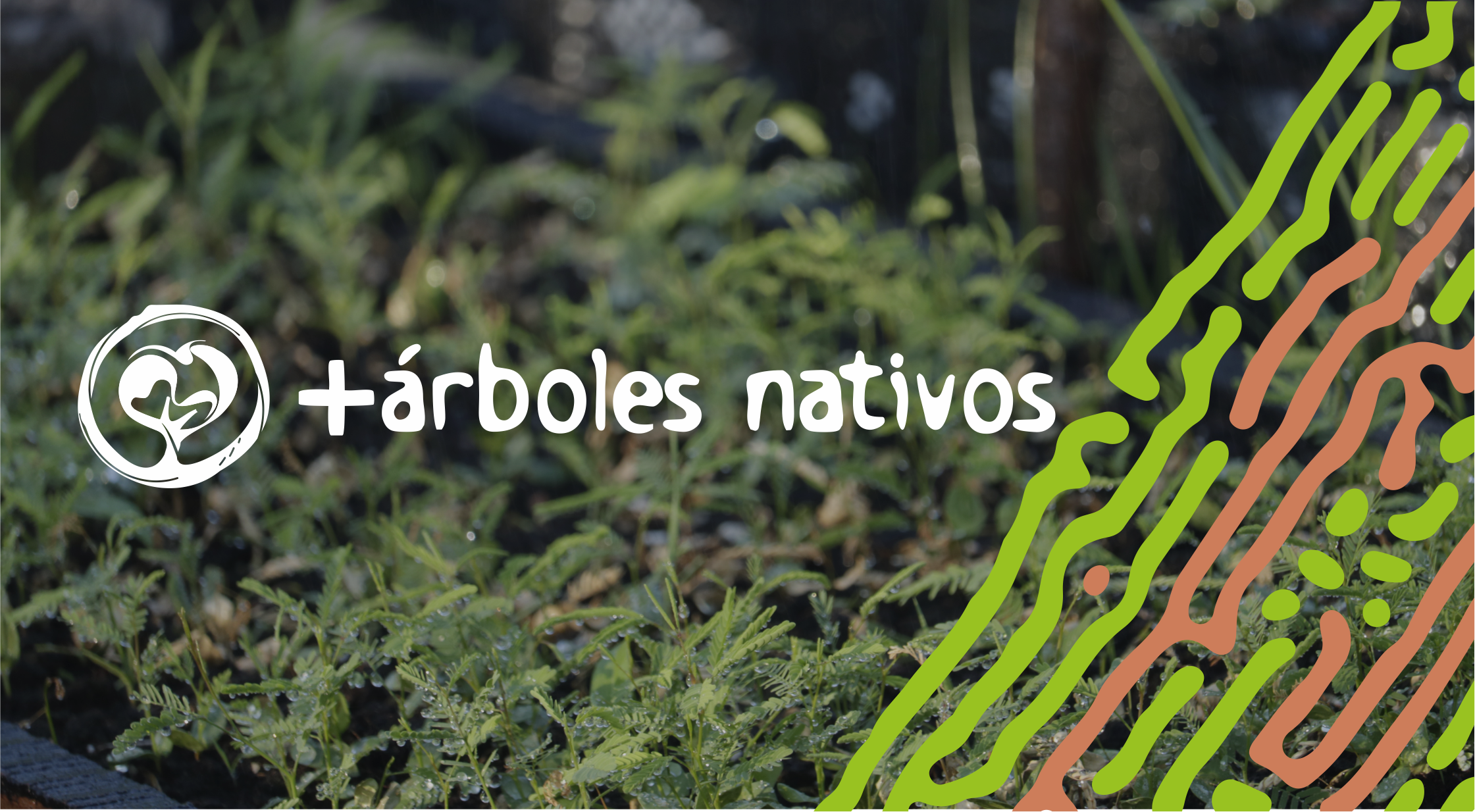 INCUPO lanza una campaña para finalizar el año con 2000 árboles nativos plantados