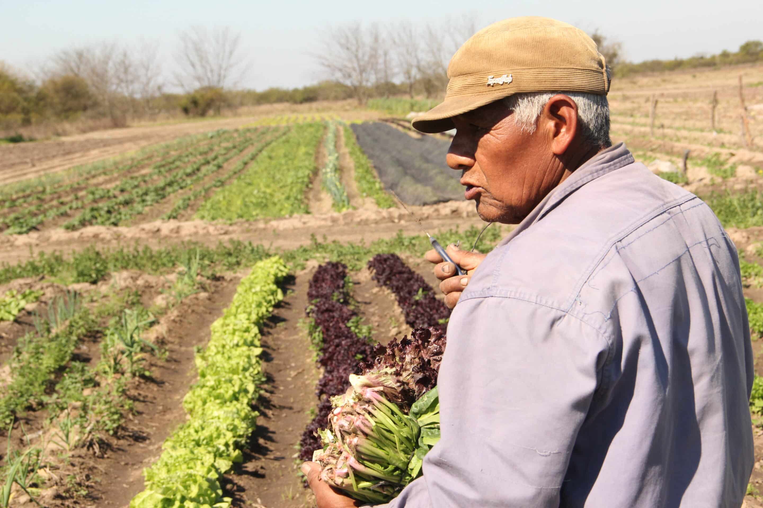 La Agricultura Familiar Campesina e Indígena, también existe