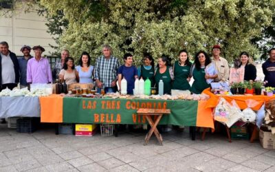 Feria Agroecológica de Bella Vista: 16 años a favor de una alimentación sana