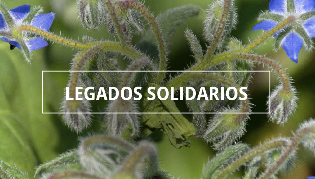 Legado Solidario: apoyá a las comunidades rurales e indígenas con INCUPO