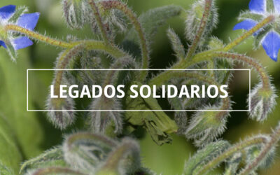 Legado Solidario: apoyá a las comunidades rurales e indígenas con INCUPO