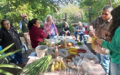Guardianes de semillas: custodios de nuestra comida y tradición