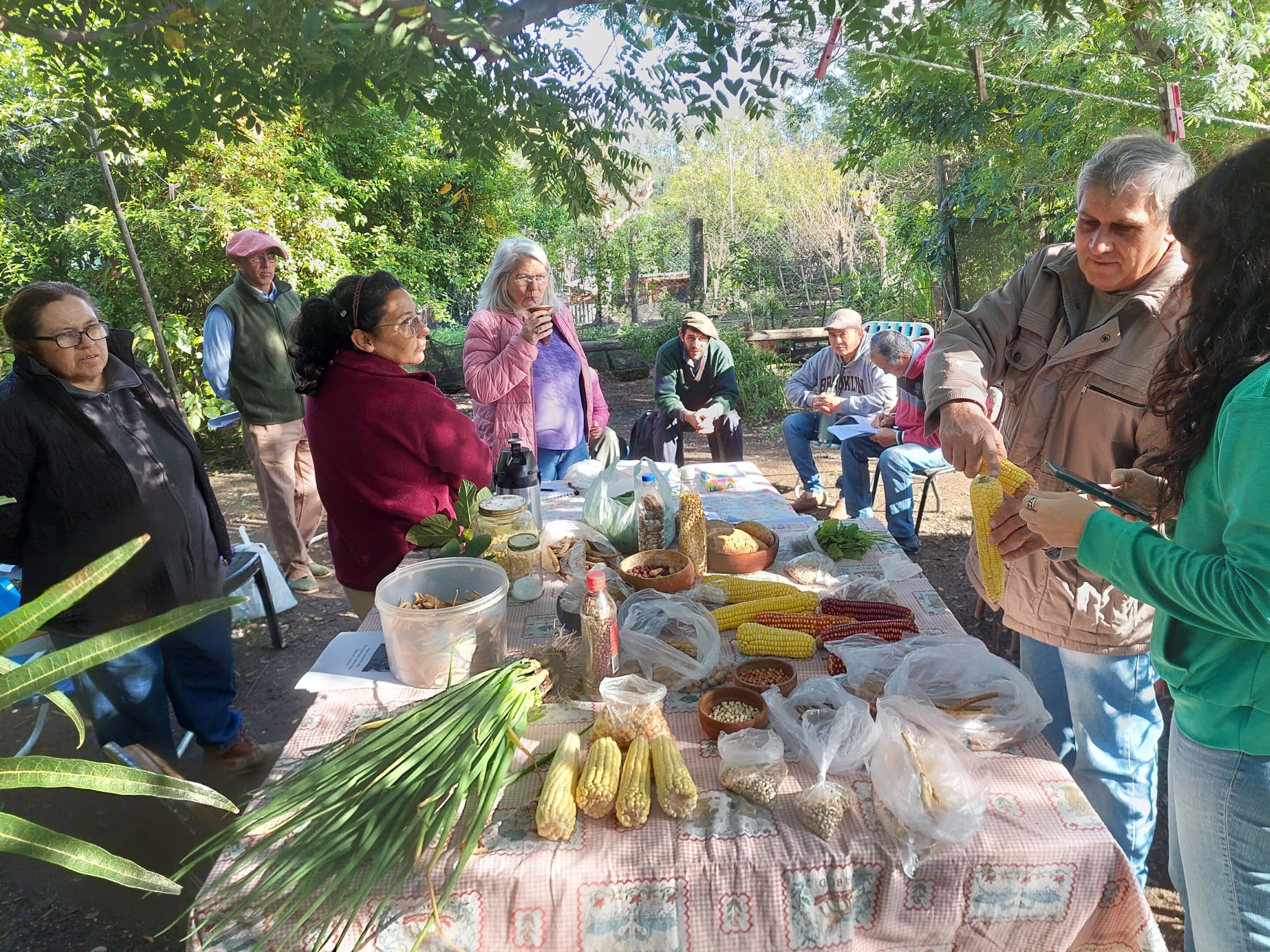 Guardianes de semillas: custodios de nuestra comida y tradición