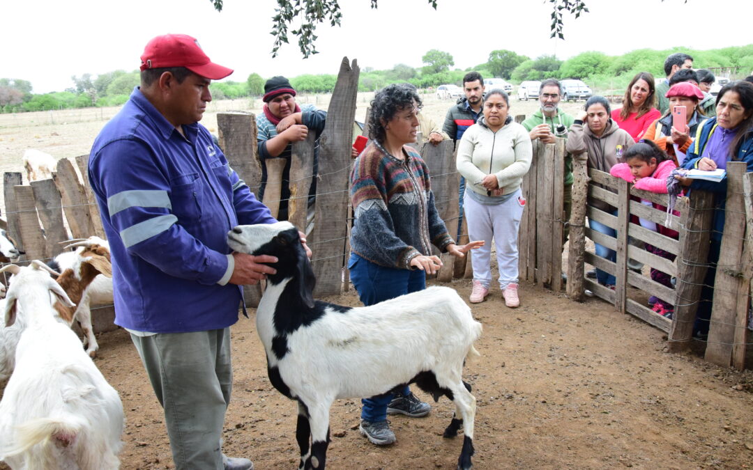 INCUPO invita a las 3° Jornadas de Ganadería Caprina Agroecológica del NOA en Añatuya, Santiago del Estero