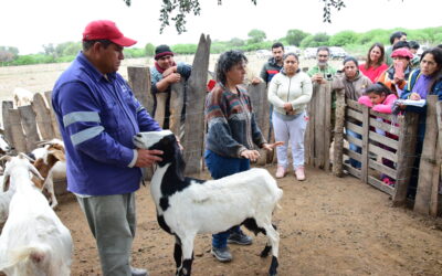 INCUPO invita a las 3° Jornadas de Ganadería Caprina Agroecológica del NOA en Añatuya, Santiago del Estero