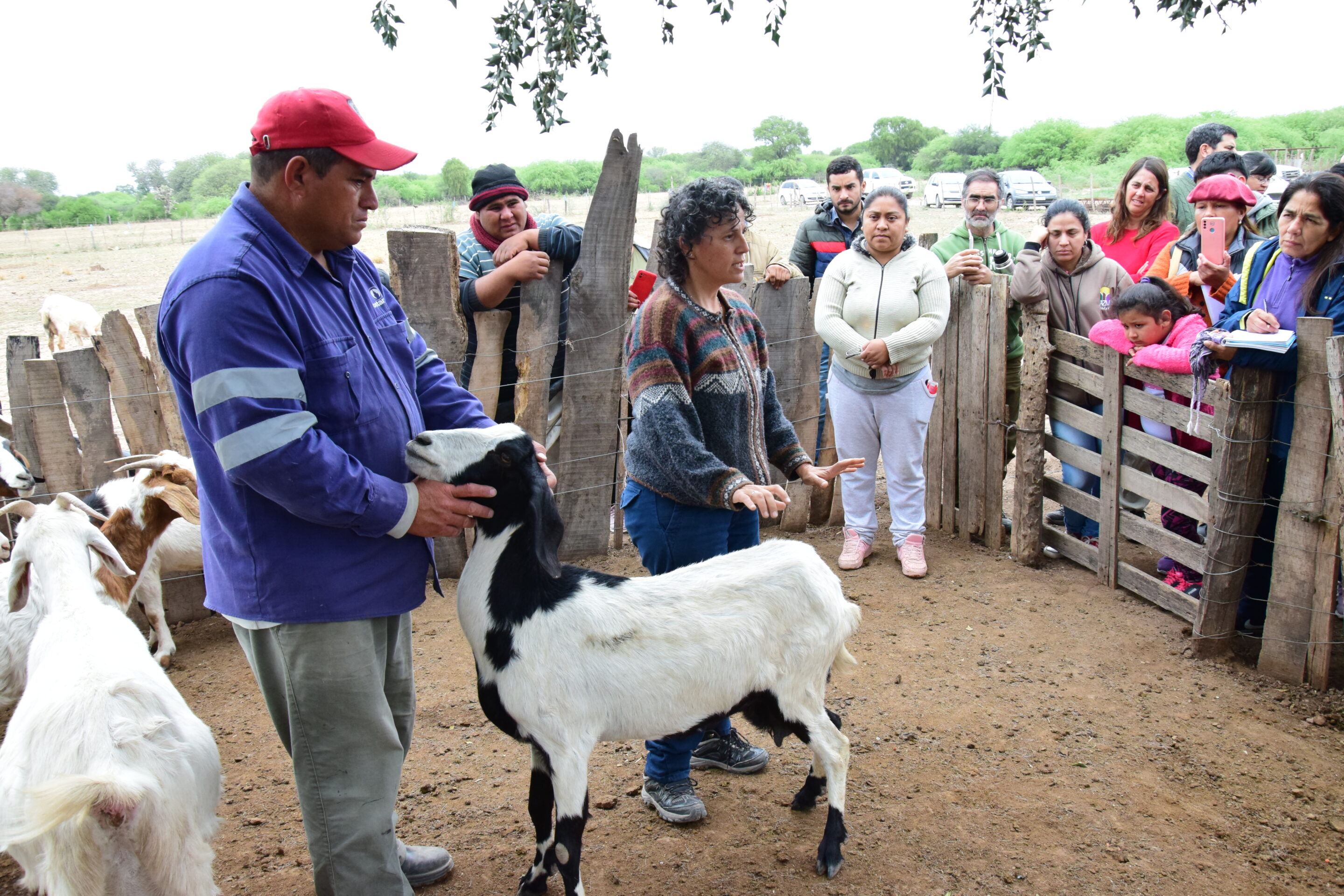 INCUPO invita a las 3° Jornadas de Ganadería Caprina Agroecológica del NOA en Añatuya, Santiago del Estero