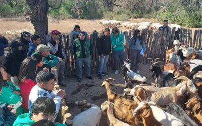 Terceras Jornadas de Ganadería Caprina Agroecológica del NOA
