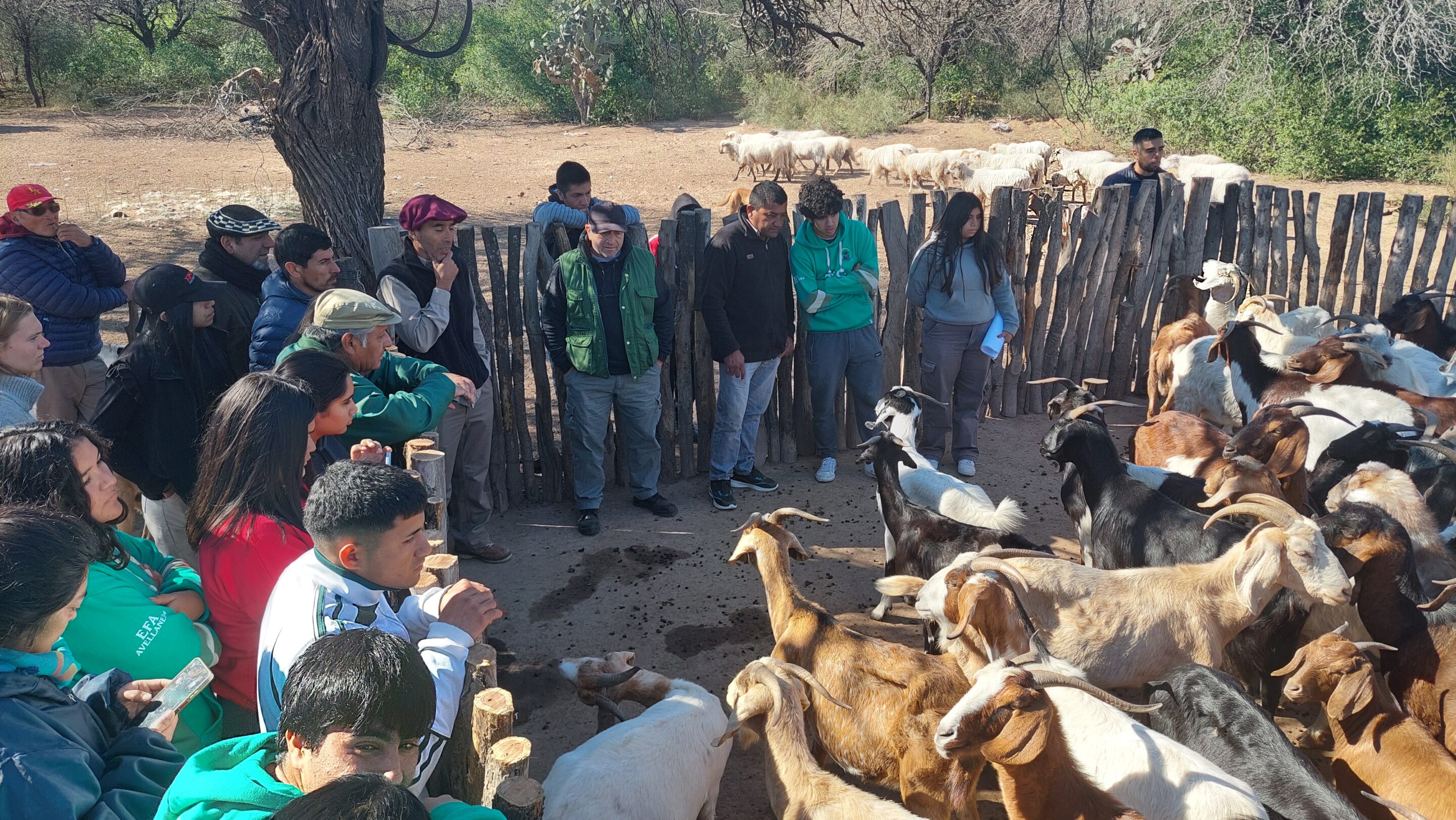 Terceras Jornadas de Ganadería Caprina Agroecológica del NOA