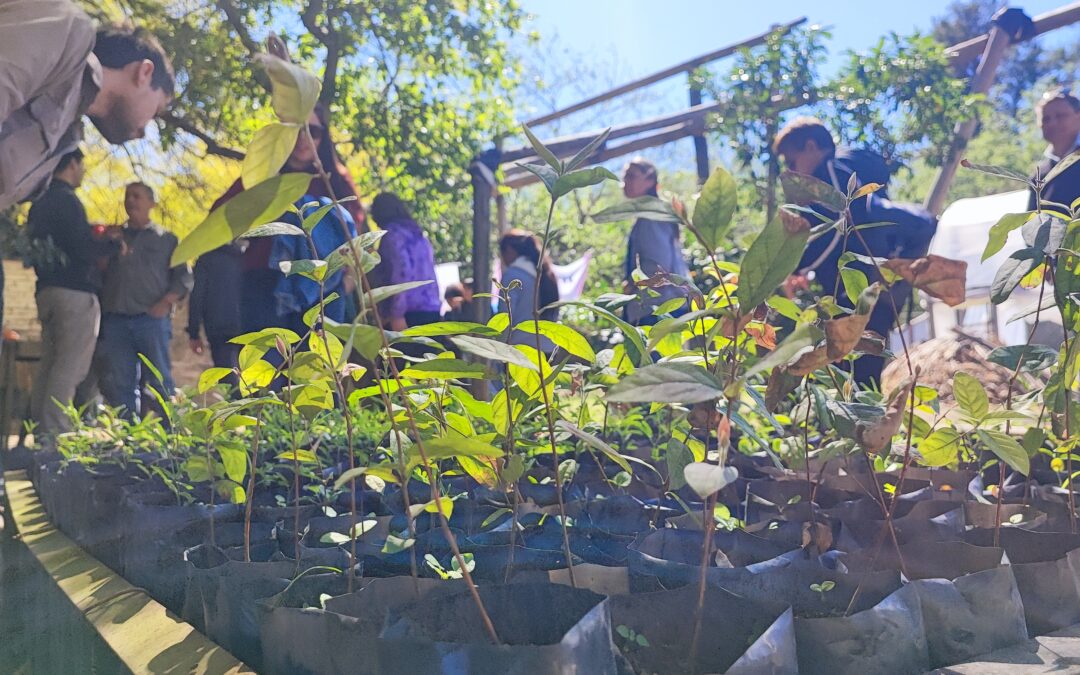 INCUPO celebra sus 55 años con una plantación de árboles nativos