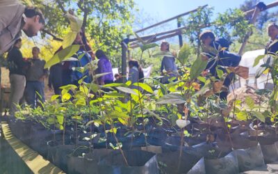 INCUPO celebra sus 55 años con una plantación de árboles nativos