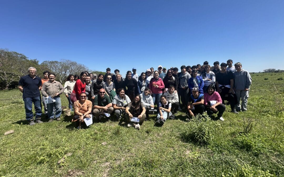 Plantación anual de árboles nativos: un compromiso que crece con el tiempo