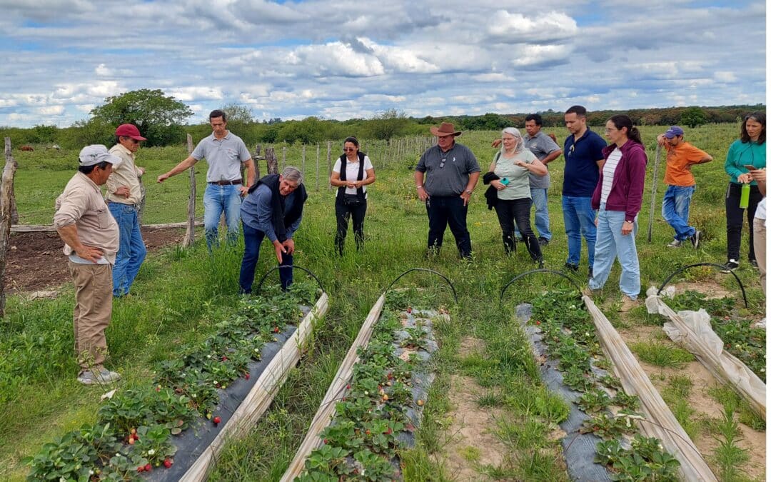 Registro de Productores Agroecológicos: Bella Vista da un paso más hacia una producción saludable