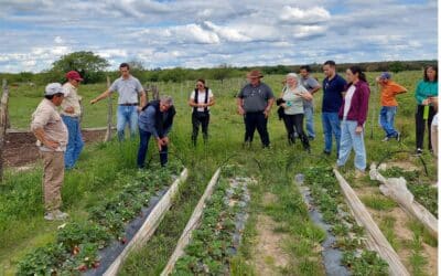 Registro de Productores Agroecológicos: Bella Vista da un paso más hacia una producción saludable
