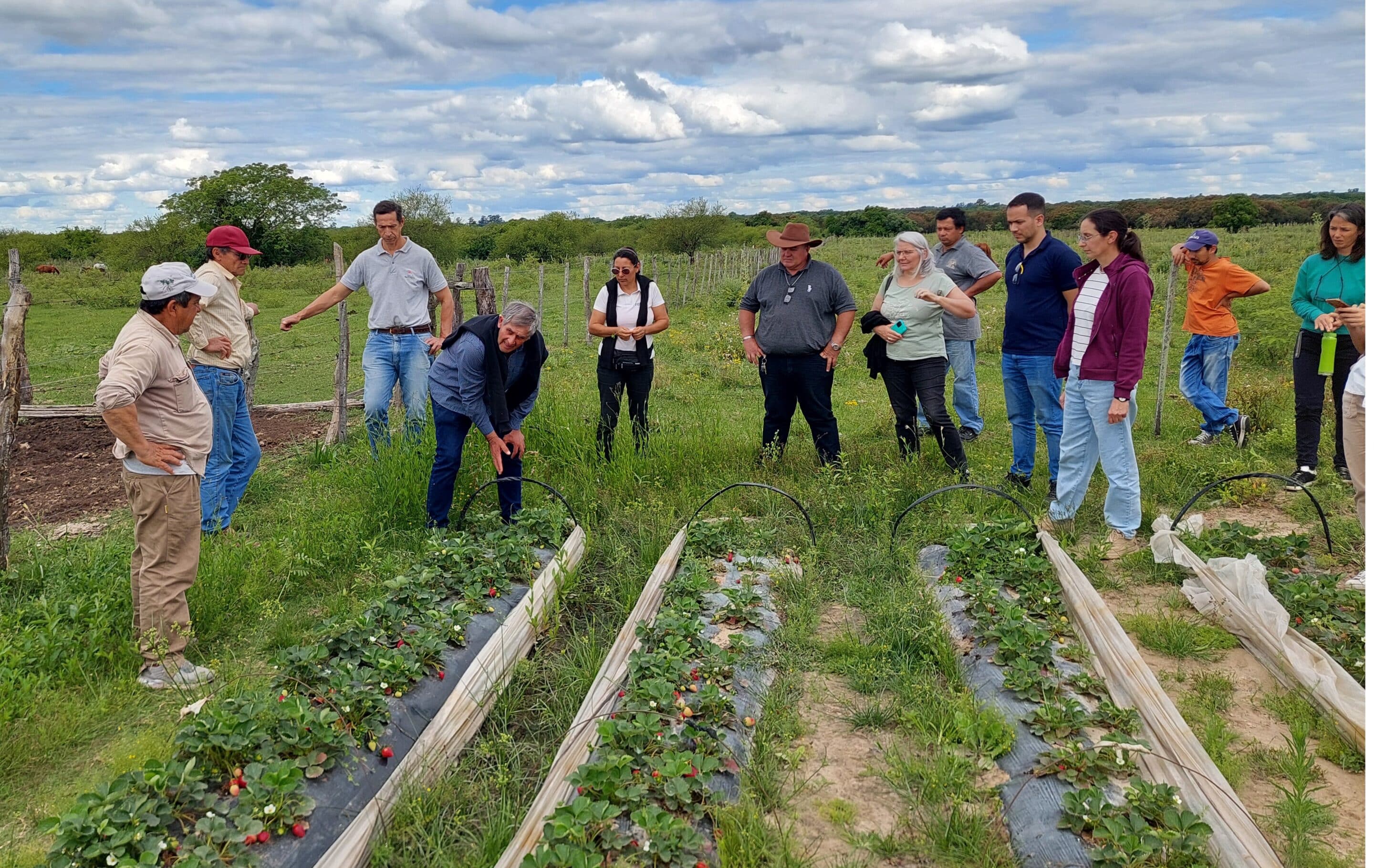 Registro de Productores Agroecológicos: Bella Vista da un paso más hacia una producción saludable