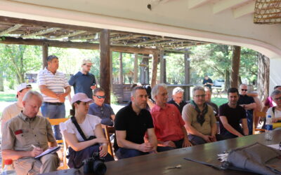 Alianza Austria-Argentina: un diálogo que conecta territorios con decisiones globales