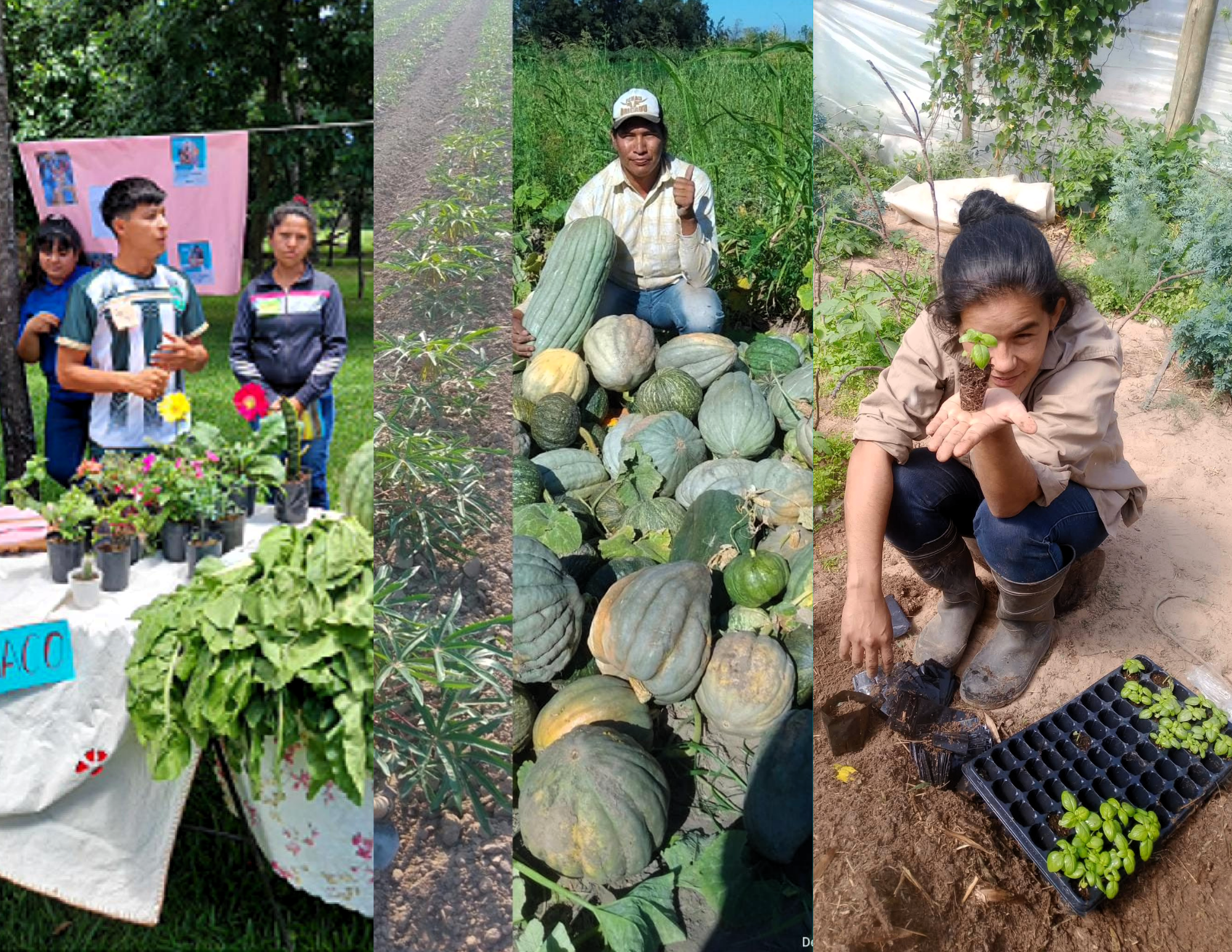 Jóvenes rurales que apuestan al futuro: producción, capacitación y arraigo en el norte argentino
