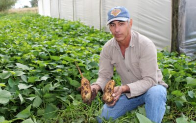 Día de la Conservación del Suelo: cuando producir y cuidar la tierra van de la mano