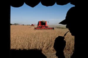 Quieren quedarse con la tierra y las semillas: crece la preocupación por el control de los alimentos