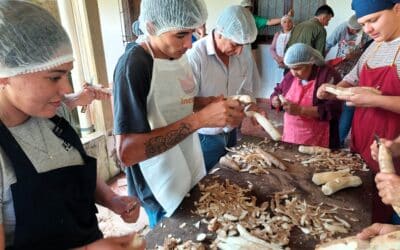 Curso de Agroecología: producir alimentos sanos, agregar valor y fortalecer las economías familiares