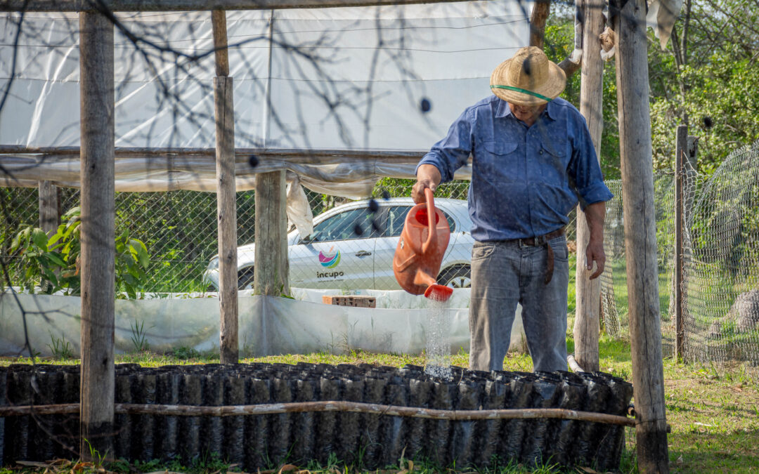 Nueva jornada de plantación de árboles nativos en La Lola