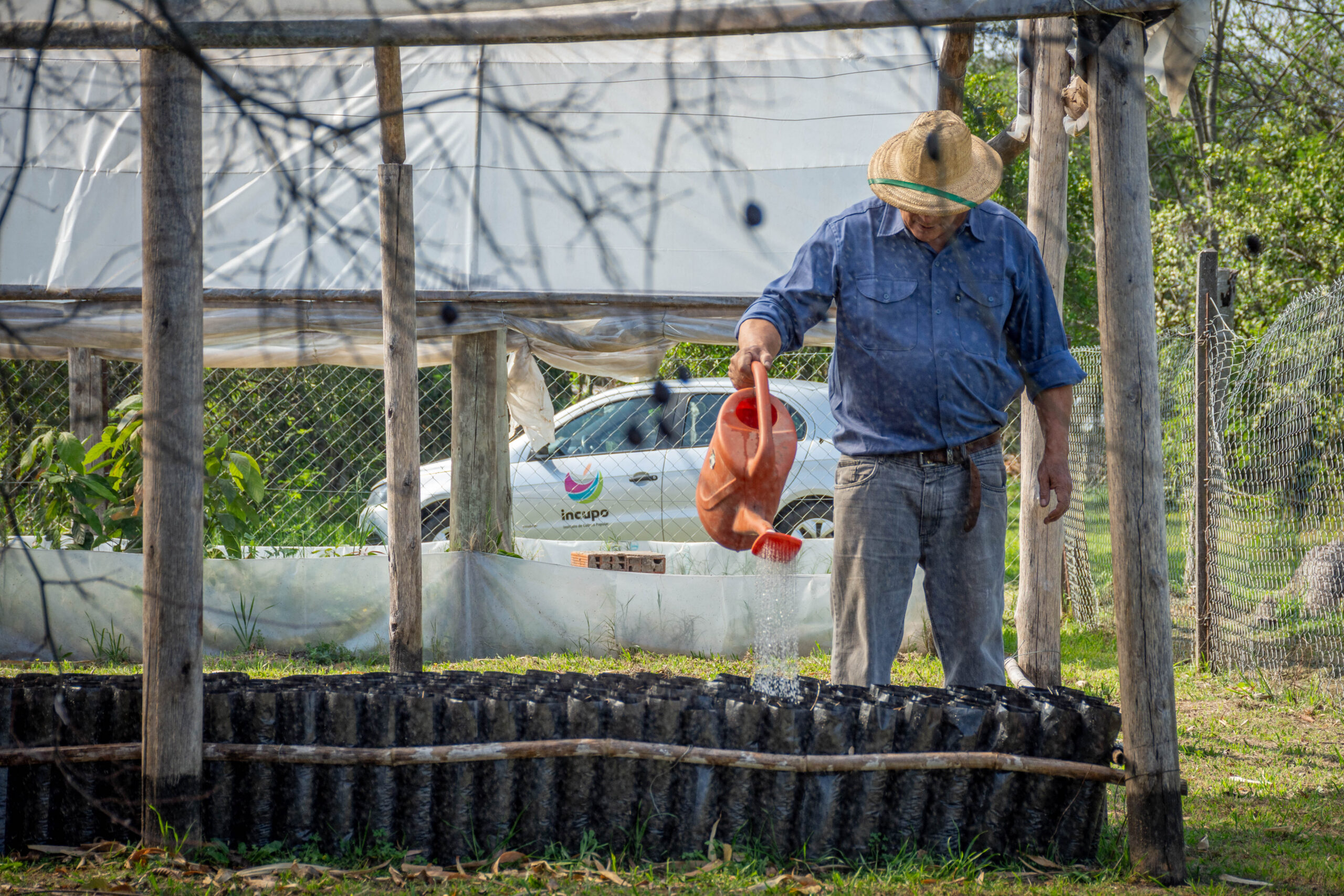 Nueva jornada de plantación de árboles nativos en La Lola