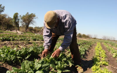 8 de setiembre, Día del Agricultor: “Hay que volver a empezar”