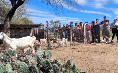 6.º Encuentro Regional de Jóvenes Rurales en Añatuya: “Sentir el territorio”