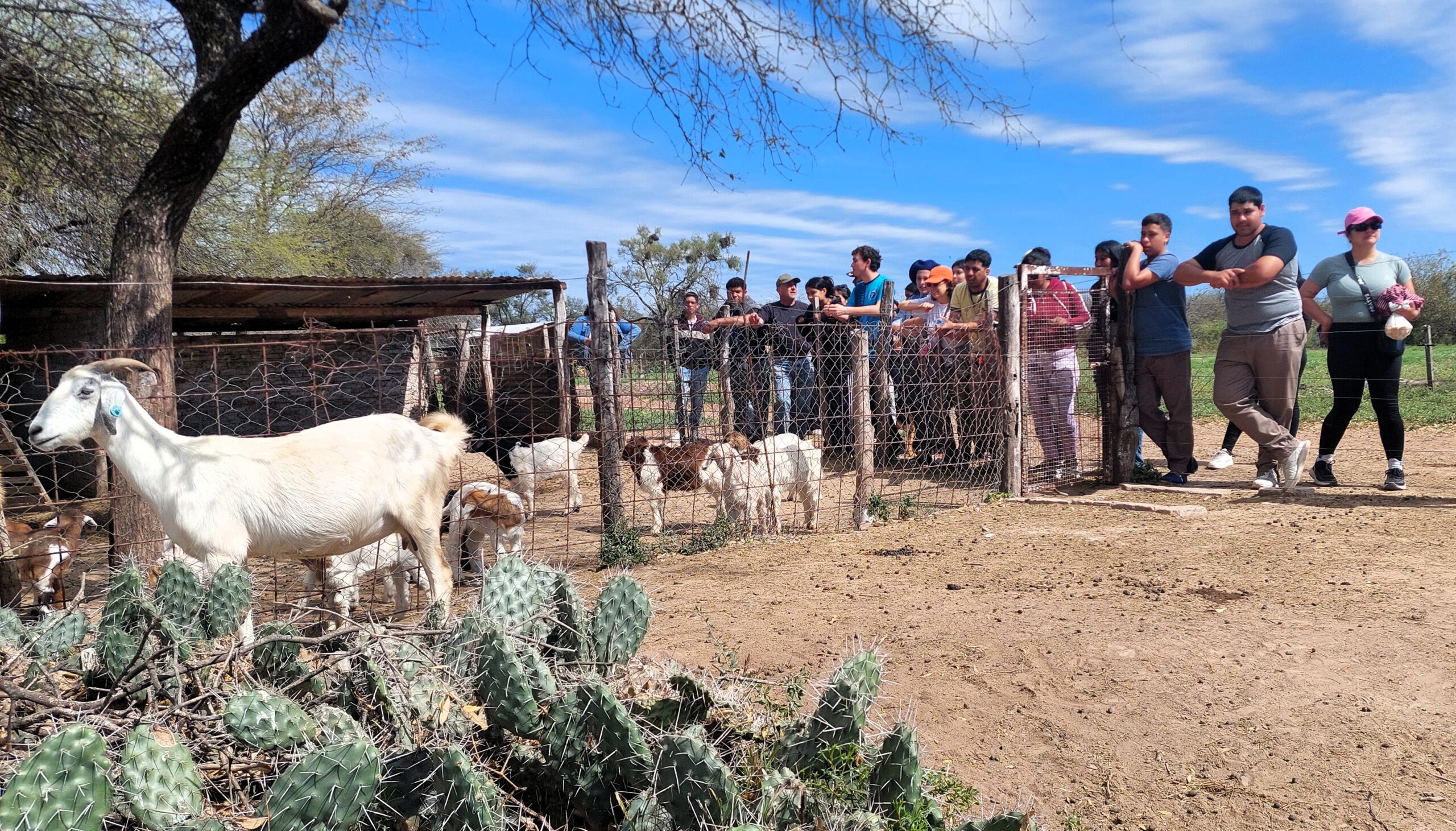 6.º Encuentro Regional de Jóvenes Rurales en Añatuya: “Sentir el territorio”