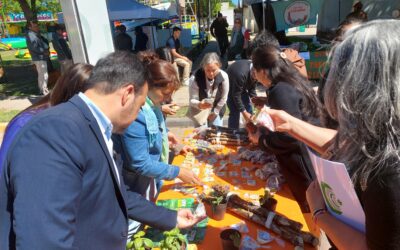 Corrientes: Saladas celebró las semillas y los sabores de la tierra