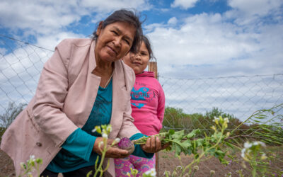 Las manos que sostienen la vida rural